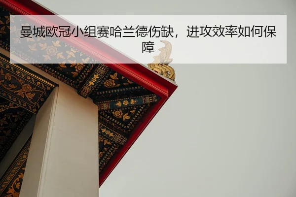 man-cheng-ou-guan-xiao-zu-sai-ha-lan-de-shang-que-jin-gong-xiao-lv-ru-he-bao-zhang-2-806.jpg