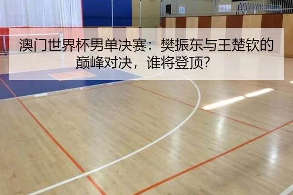 澳门世界杯男单决赛：樊振东与王楚钦的巅峰对决，谁将登顶？
